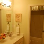 Guest Bath 1